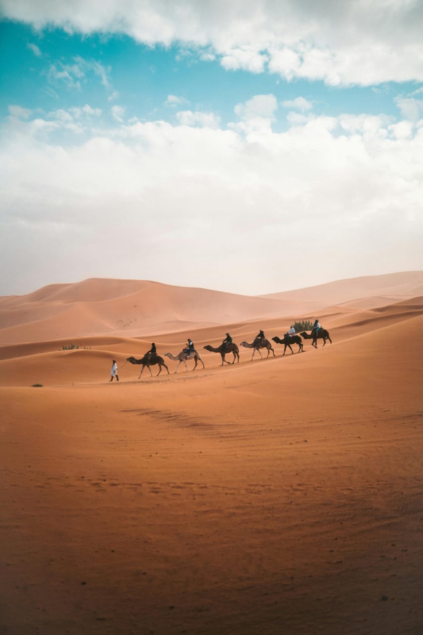 Marrakech Magic: A Complete Guide to the Red City